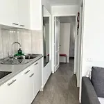 Buganvilla