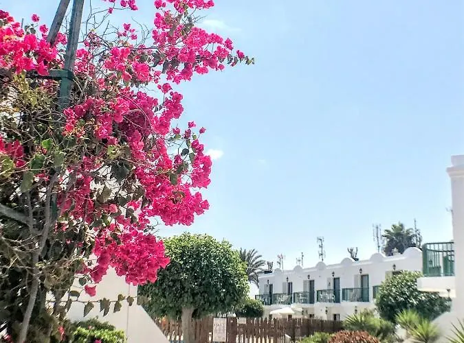 Apartamento Buganvilla